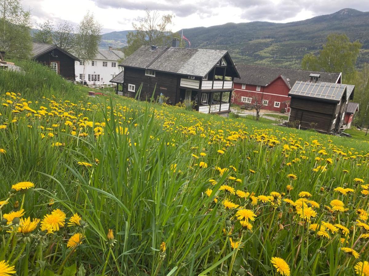 Hesla Farm Lejlighed Gol Eksteriør billede