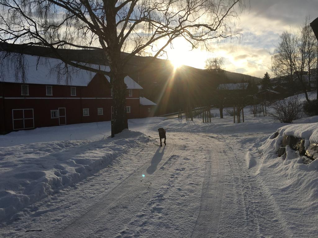 Hesla Farm Lejlighed Gol Eksteriør billede